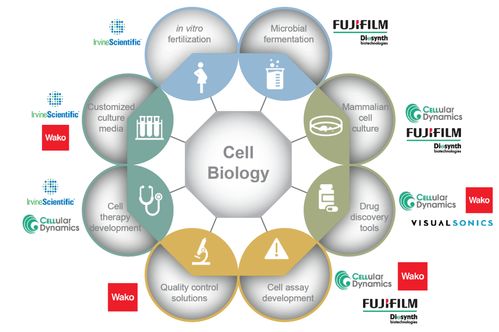 富士胶片 光影之外的科研创新先锋